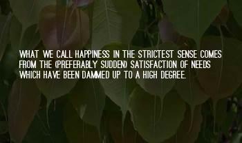 Sudden Happiness Quotes