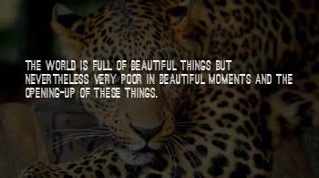 Thanks For Being With Me Always Quotes