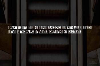The 5 Senses Quotes