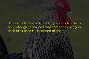 The Beginning Of Time Quotes
