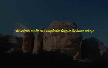 The Most Complicated Things Quotes