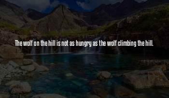 The Wolf On The Hill Quotes