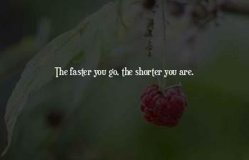 United Healthcare Texas Quotes