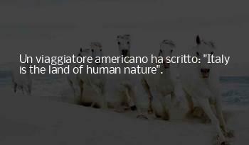 Viaggiatore In Un Quotes