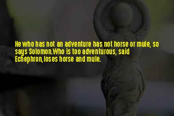 Who Said Adventure Is Out There Quotes