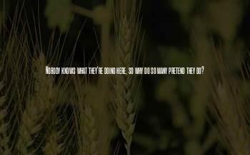 Why Pretend Quotes