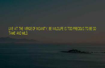 Wild And Precious Life Quotes