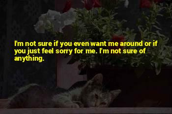 Will Pickles Quotes