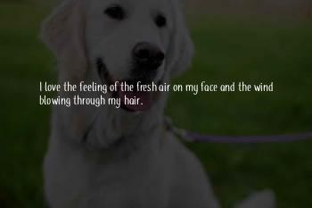 Wind Through My Hair Quotes