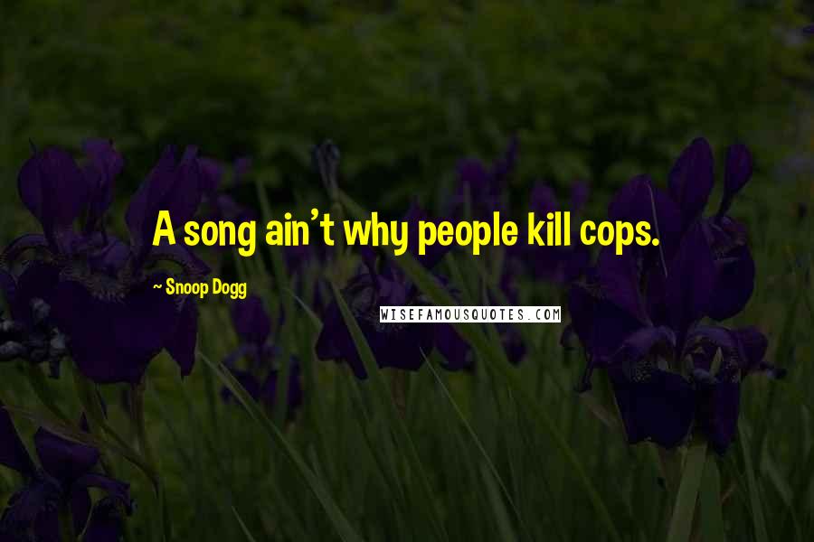 Snoop Dogg Quotes: A song ain't why people kill cops.
