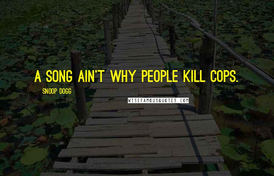 Snoop Dogg Quotes: A song ain't why people kill cops.