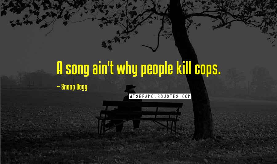 Snoop Dogg Quotes: A song ain't why people kill cops.