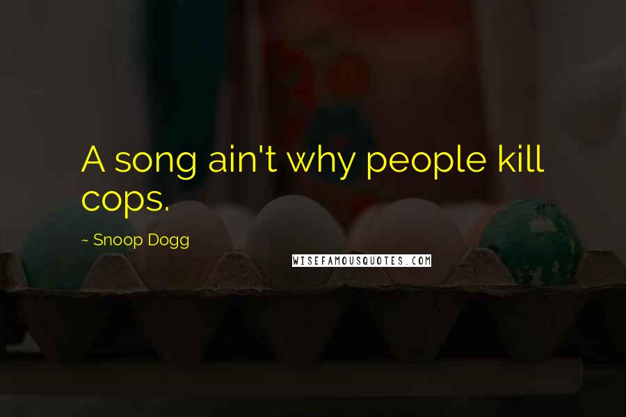 Snoop Dogg Quotes: A song ain't why people kill cops.
