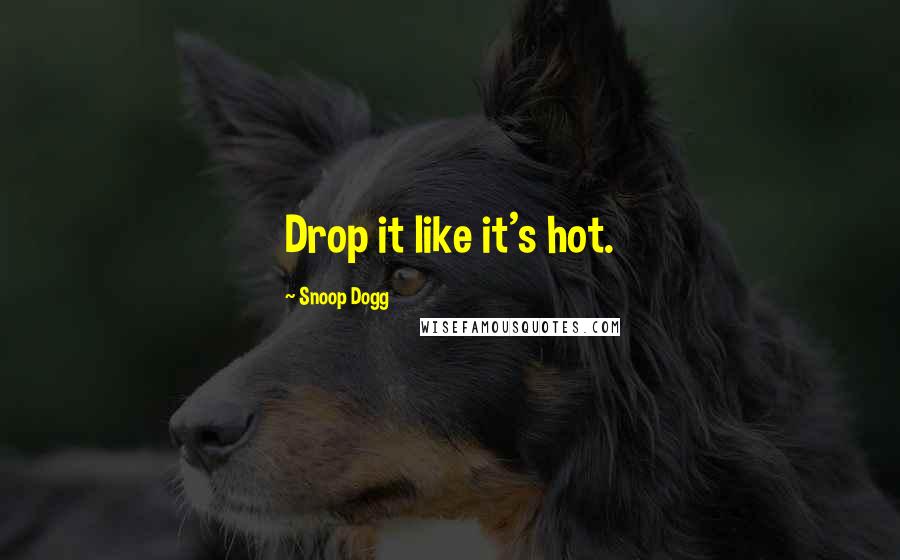 Snoop Dogg Quotes: Drop it like it's hot.