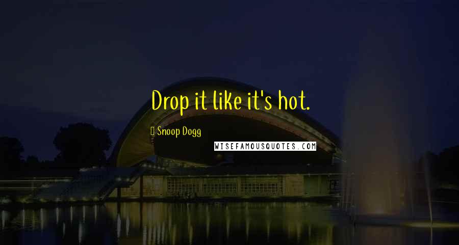 Snoop Dogg Quotes: Drop it like it's hot.