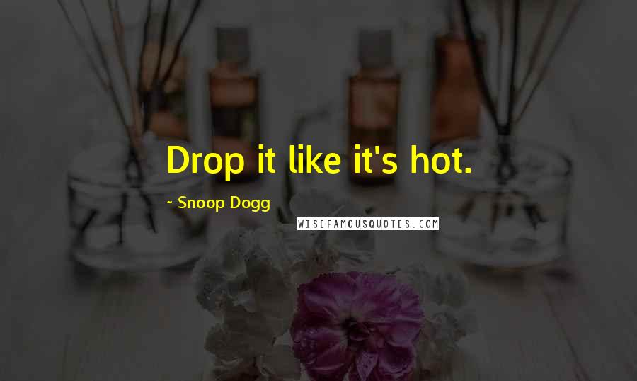 Snoop Dogg Quotes: Drop it like it's hot.