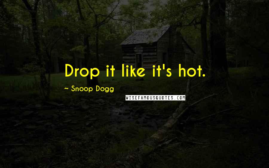 Snoop Dogg Quotes: Drop it like it's hot.