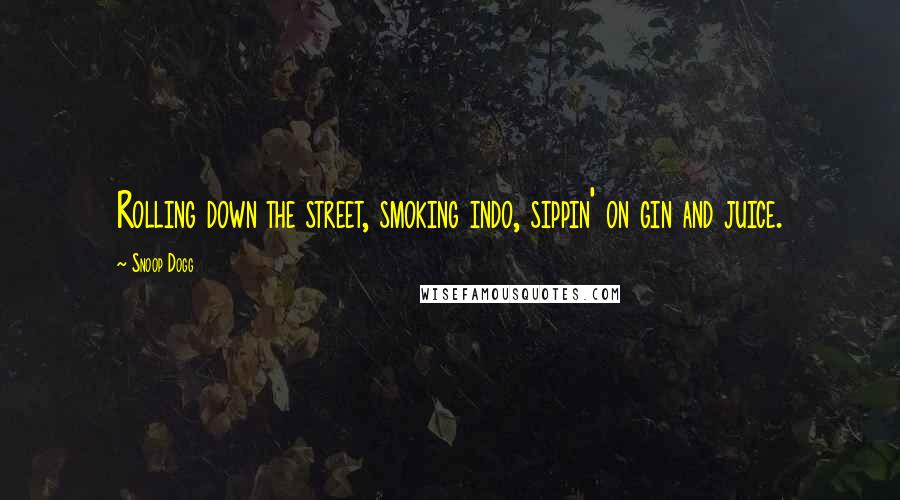 Snoop Dogg Quotes: Rolling down the street, smoking indo, sippin' on gin and juice.