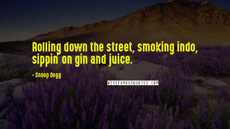 Snoop Dogg Quotes: Rolling down the street, smoking indo, sippin' on gin and juice.