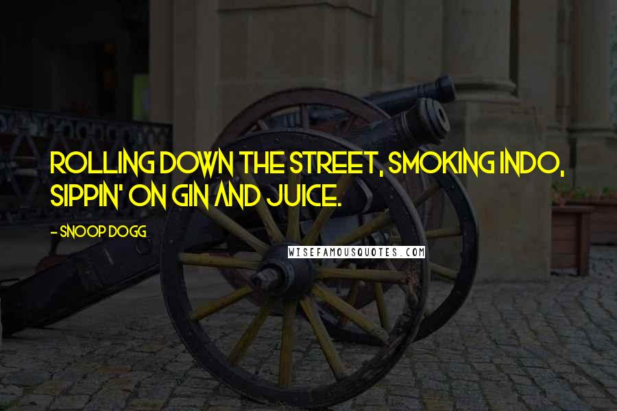 Snoop Dogg Quotes: Rolling down the street, smoking indo, sippin' on gin and juice.