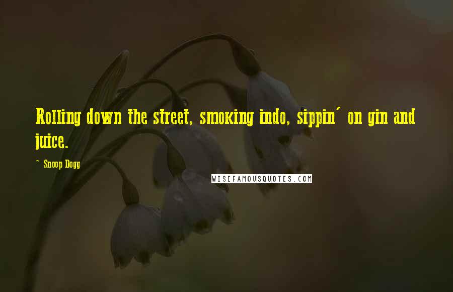 Snoop Dogg Quotes: Rolling down the street, smoking indo, sippin' on gin and juice.