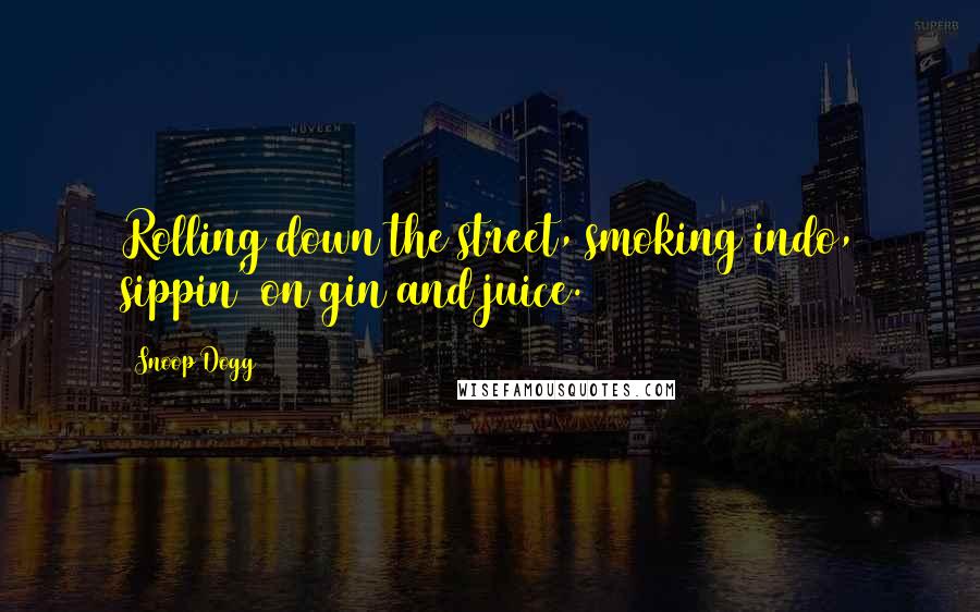 Snoop Dogg Quotes: Rolling down the street, smoking indo, sippin' on gin and juice.