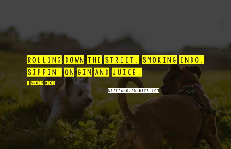 Snoop Dogg Quotes: Rolling down the street, smoking indo, sippin' on gin and juice.
