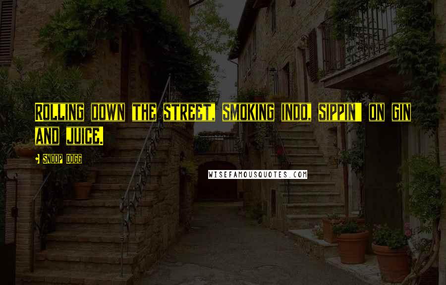 Snoop Dogg Quotes: Rolling down the street, smoking indo, sippin' on gin and juice.