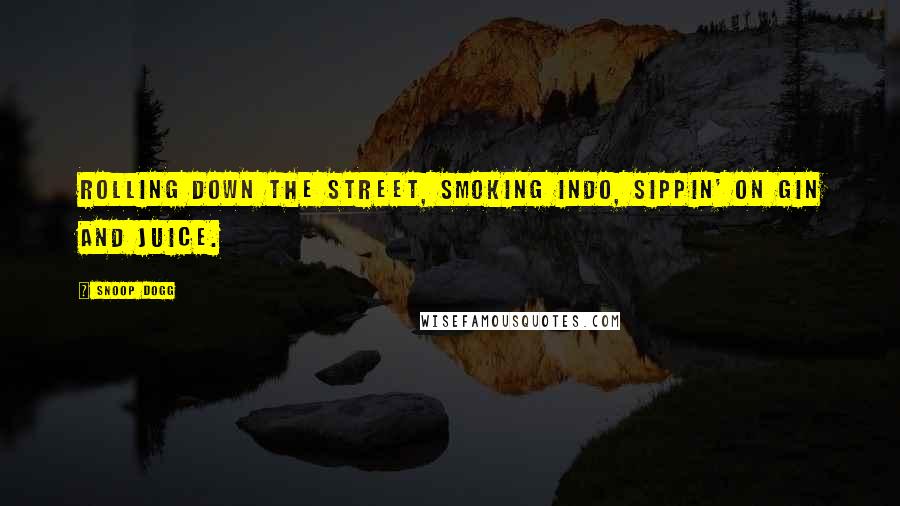 Snoop Dogg Quotes: Rolling down the street, smoking indo, sippin' on gin and juice.