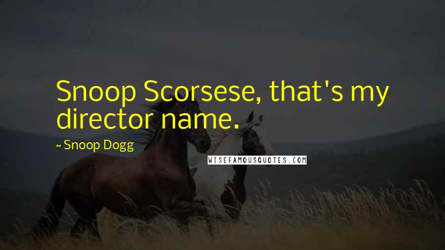 Snoop Dogg Quotes: Snoop Scorsese, that's my director name.