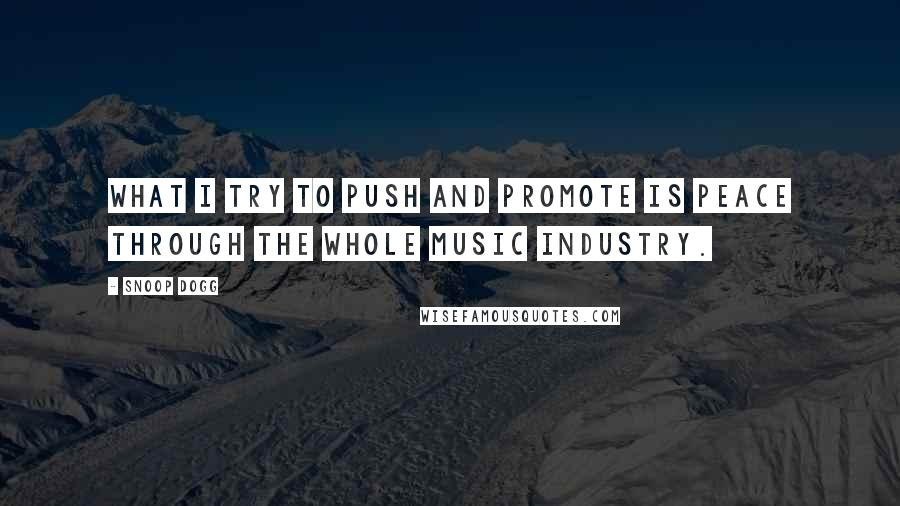 Snoop Dogg Quotes: What I try to push and promote is peace through the whole music industry.