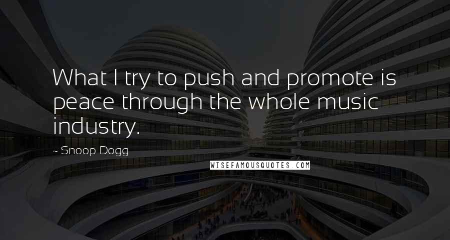 Snoop Dogg Quotes: What I try to push and promote is peace through the whole music industry.