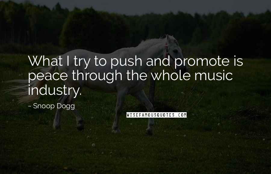 Snoop Dogg Quotes: What I try to push and promote is peace through the whole music industry.