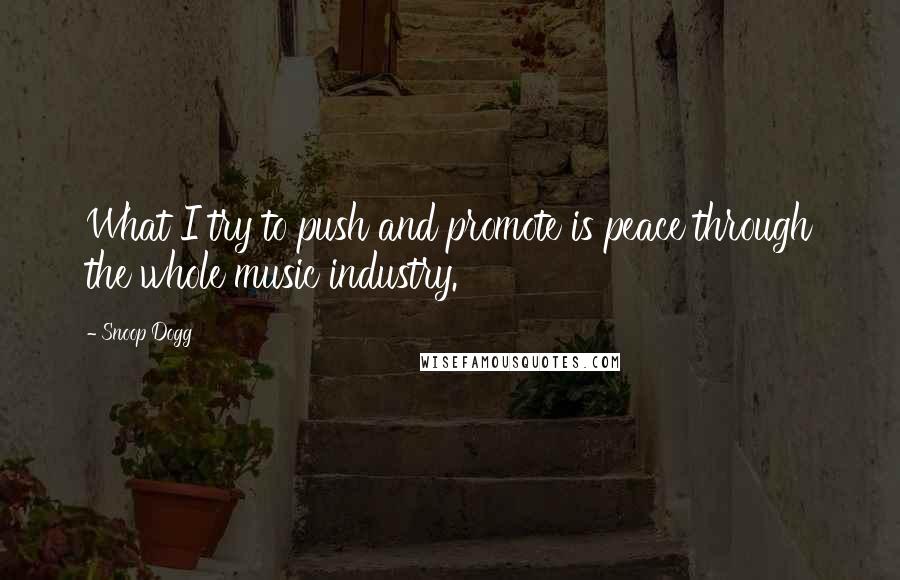 Snoop Dogg Quotes: What I try to push and promote is peace through the whole music industry.