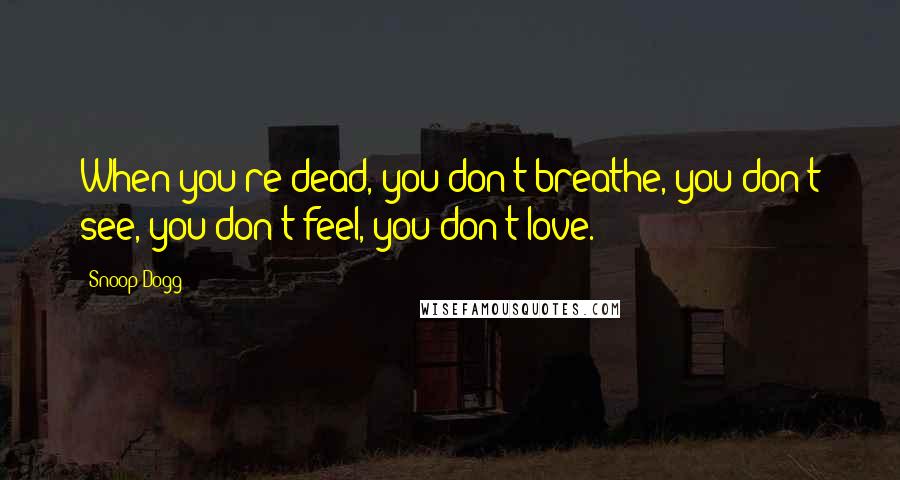 Snoop Dogg Quotes: When you're dead, you don't breathe, you don't see, you don't feel, you don't love.