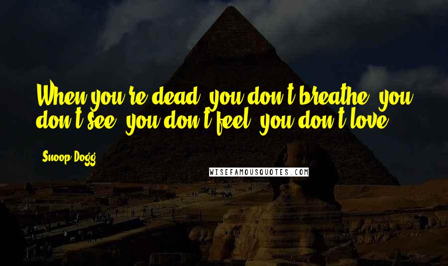 Snoop Dogg Quotes: When you're dead, you don't breathe, you don't see, you don't feel, you don't love.