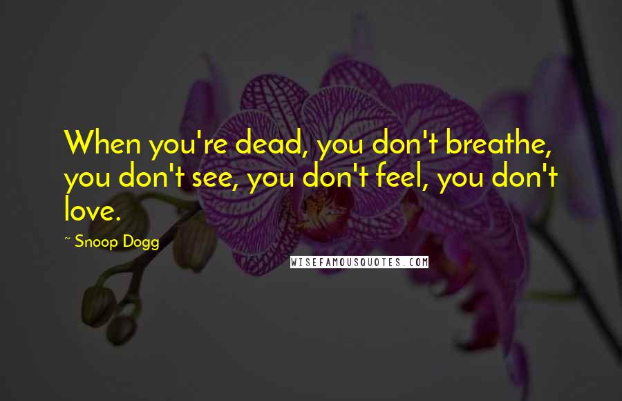 Snoop Dogg Quotes: When you're dead, you don't breathe, you don't see, you don't feel, you don't love.