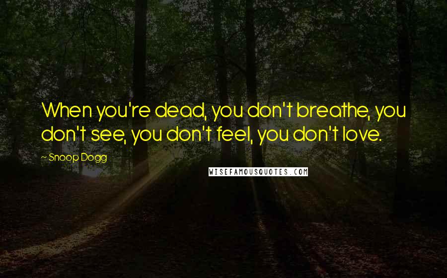 Snoop Dogg Quotes: When you're dead, you don't breathe, you don't see, you don't feel, you don't love.