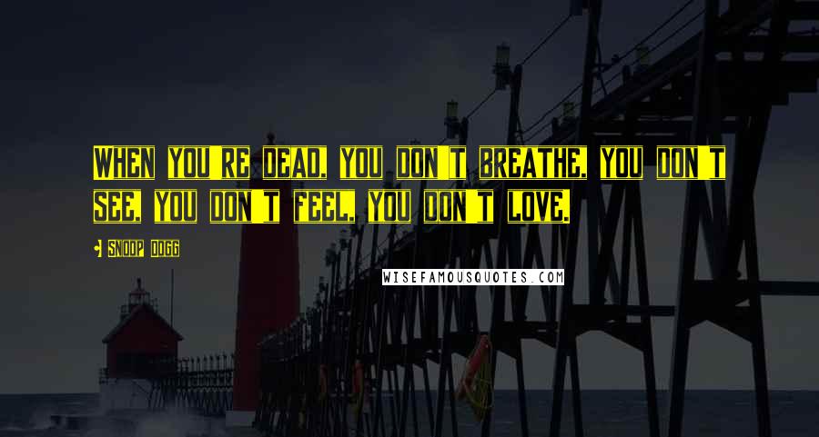 Snoop Dogg Quotes: When you're dead, you don't breathe, you don't see, you don't feel, you don't love.