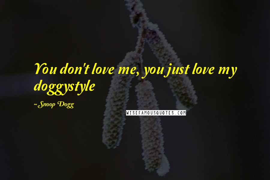 Snoop Dogg Quotes: You don't love me, you just love my doggystyle