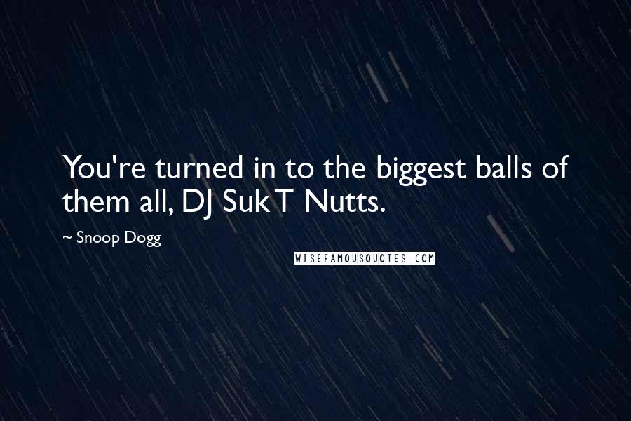 Snoop Dogg Quotes: You're turned in to the biggest balls of them all, DJ Suk T Nutts.