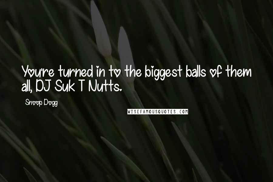 Snoop Dogg Quotes: You're turned in to the biggest balls of them all, DJ Suk T Nutts.