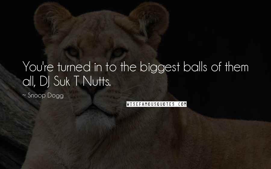 Snoop Dogg Quotes: You're turned in to the biggest balls of them all, DJ Suk T Nutts.
