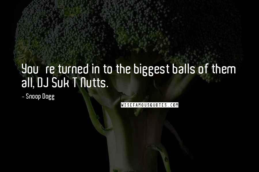 Snoop Dogg Quotes: You're turned in to the biggest balls of them all, DJ Suk T Nutts.