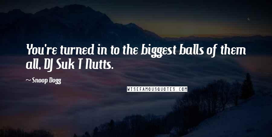 Snoop Dogg Quotes: You're turned in to the biggest balls of them all, DJ Suk T Nutts.