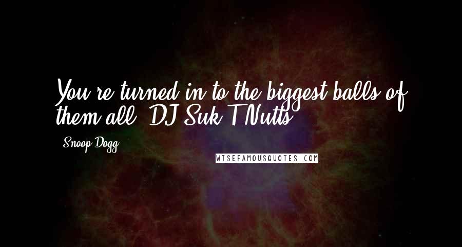 Snoop Dogg Quotes: You're turned in to the biggest balls of them all, DJ Suk T Nutts.
