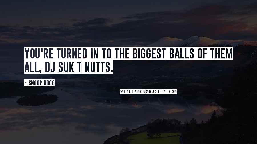 Snoop Dogg Quotes: You're turned in to the biggest balls of them all, DJ Suk T Nutts.