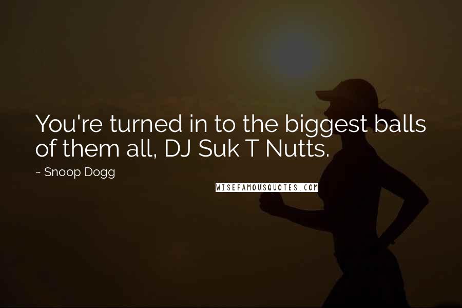 Snoop Dogg Quotes: You're turned in to the biggest balls of them all, DJ Suk T Nutts.