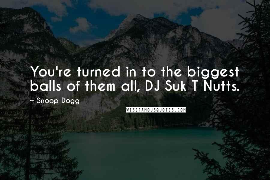 Snoop Dogg Quotes: You're turned in to the biggest balls of them all, DJ Suk T Nutts.