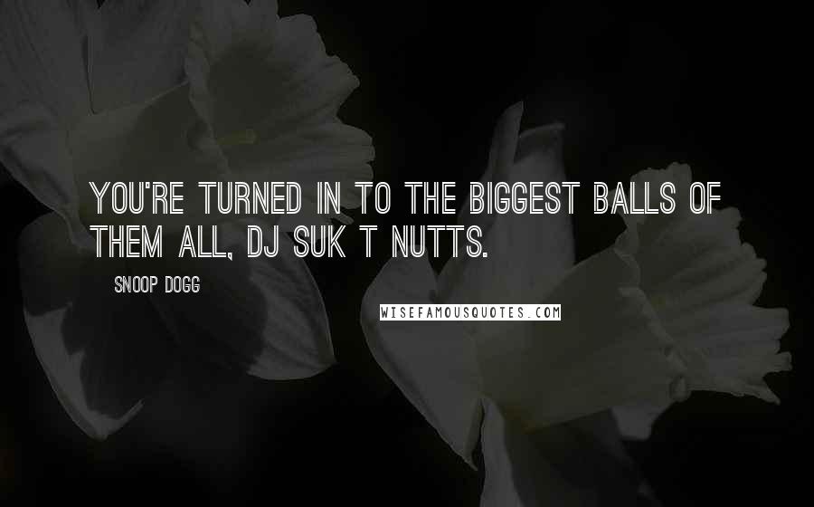 Snoop Dogg Quotes: You're turned in to the biggest balls of them all, DJ Suk T Nutts.